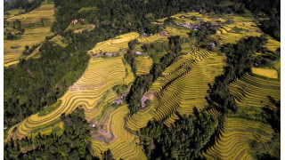 Hà Giang quảng bá di sản ruộng bậc thang Hoàng Su Phì